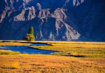  沿着中巴友谊公路，住进丝路雪山旁的“家”｜格林豪泰塔县店温暖启幕