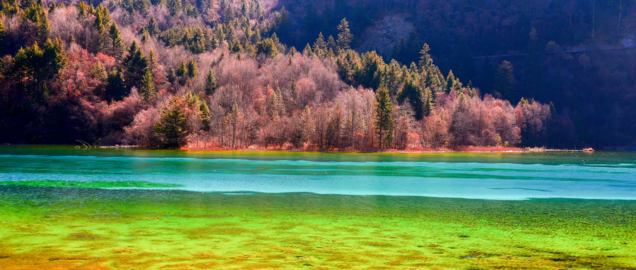 四川发布十五五规划建议，推进文化和旅游深度融合发展