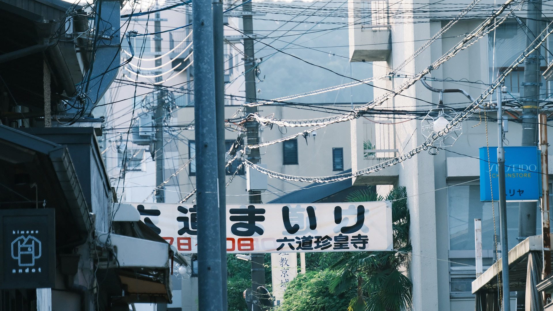 日本政府观光局：2月中国内地访日游客同比降45.2% 连续三月下滑