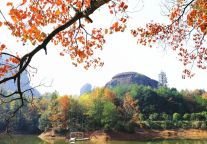 太美了！！龙虎山景区浴仙池封神时刻，这份保姆级赏秋攻略请收好！