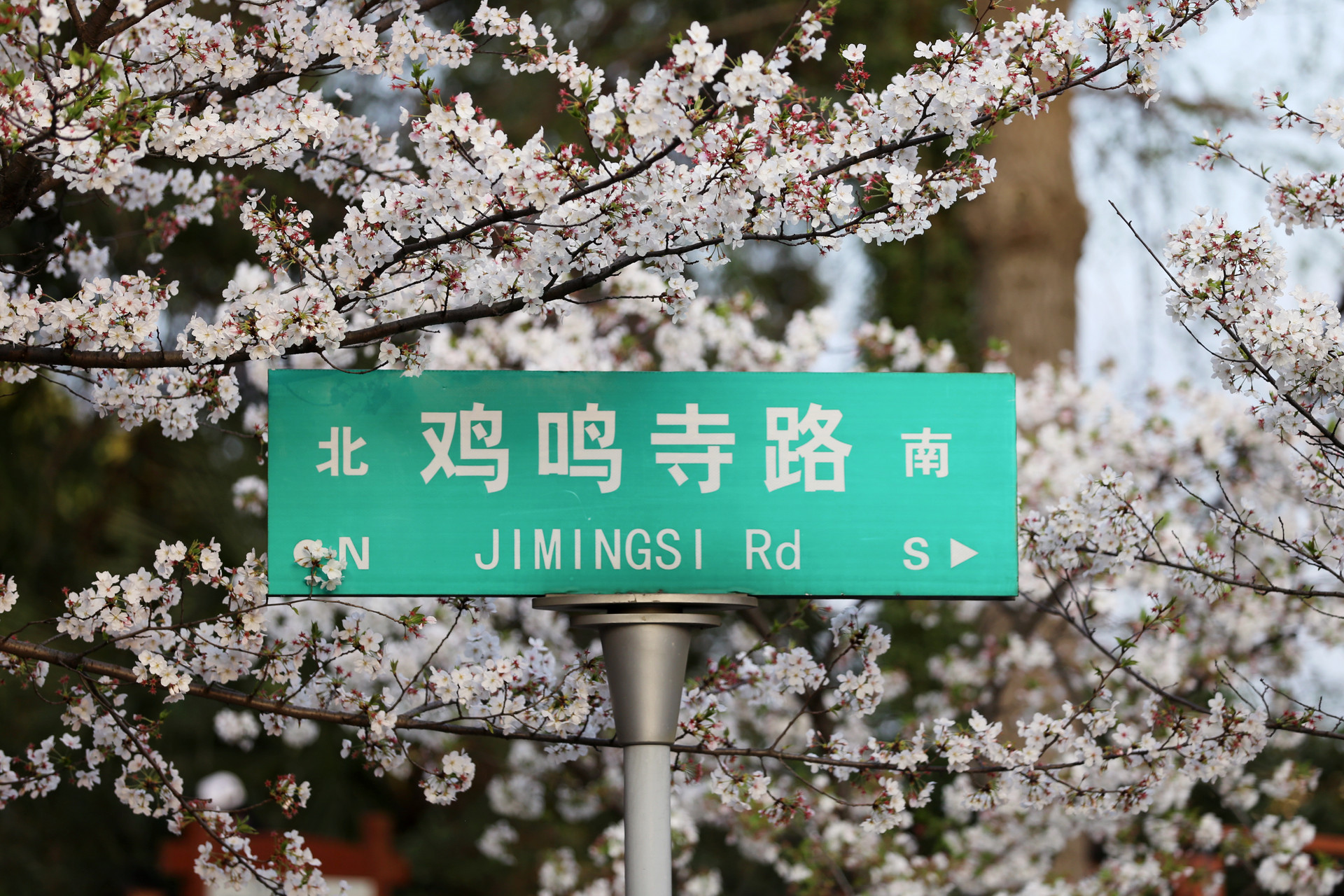 春节假期前五天南京接待近千万游客