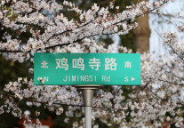 春节假期前五天南京接待近千万游客