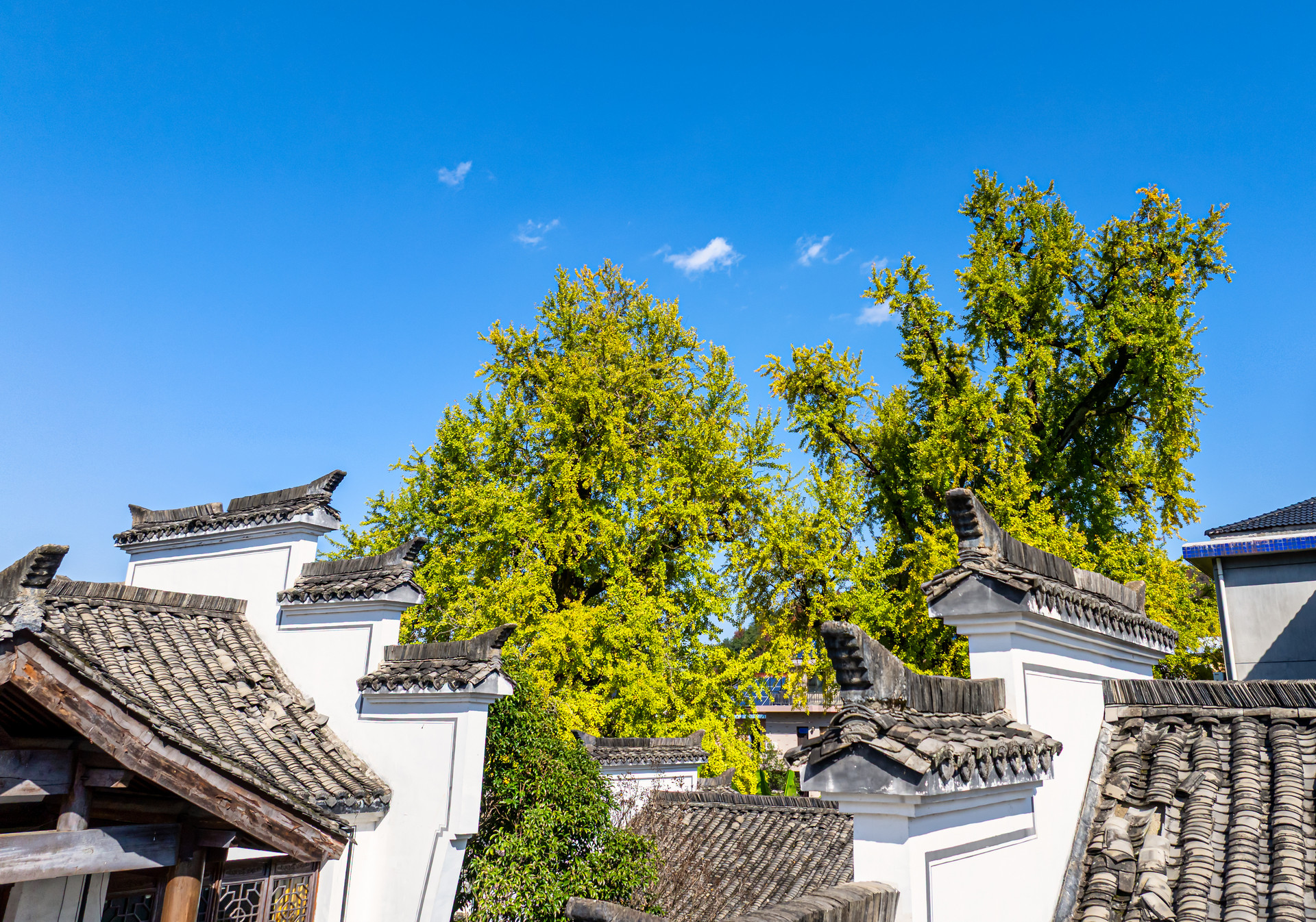 浙江发布十五五规划建议，以“文化+旅游”赋能经济社会发展