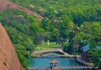 春日龟峰来信 | 登山踏青正当时，云海丹山与花海一键解锁