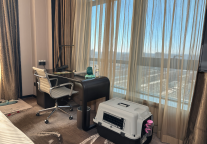 万味臻选，金秋蟹礼 | 义乌富力万达嘉华酒店金秋大闸蟹礼盒重磅上线