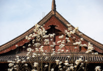 张久明：在地美食的雅韵