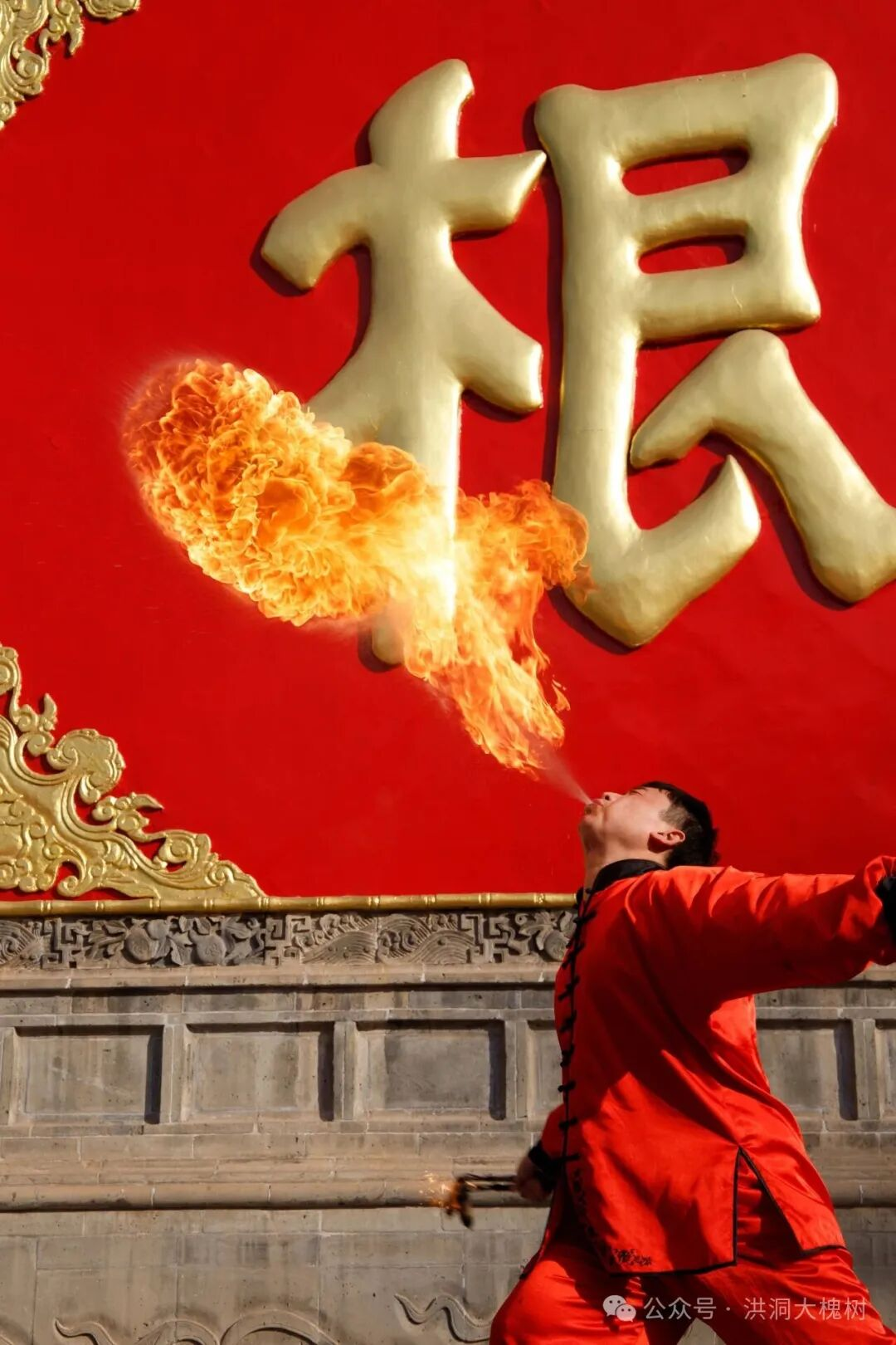 洪洞大槐树景区元旦盛宴启幕