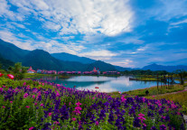 飞猪：元旦假期客单价同比去年增长10%