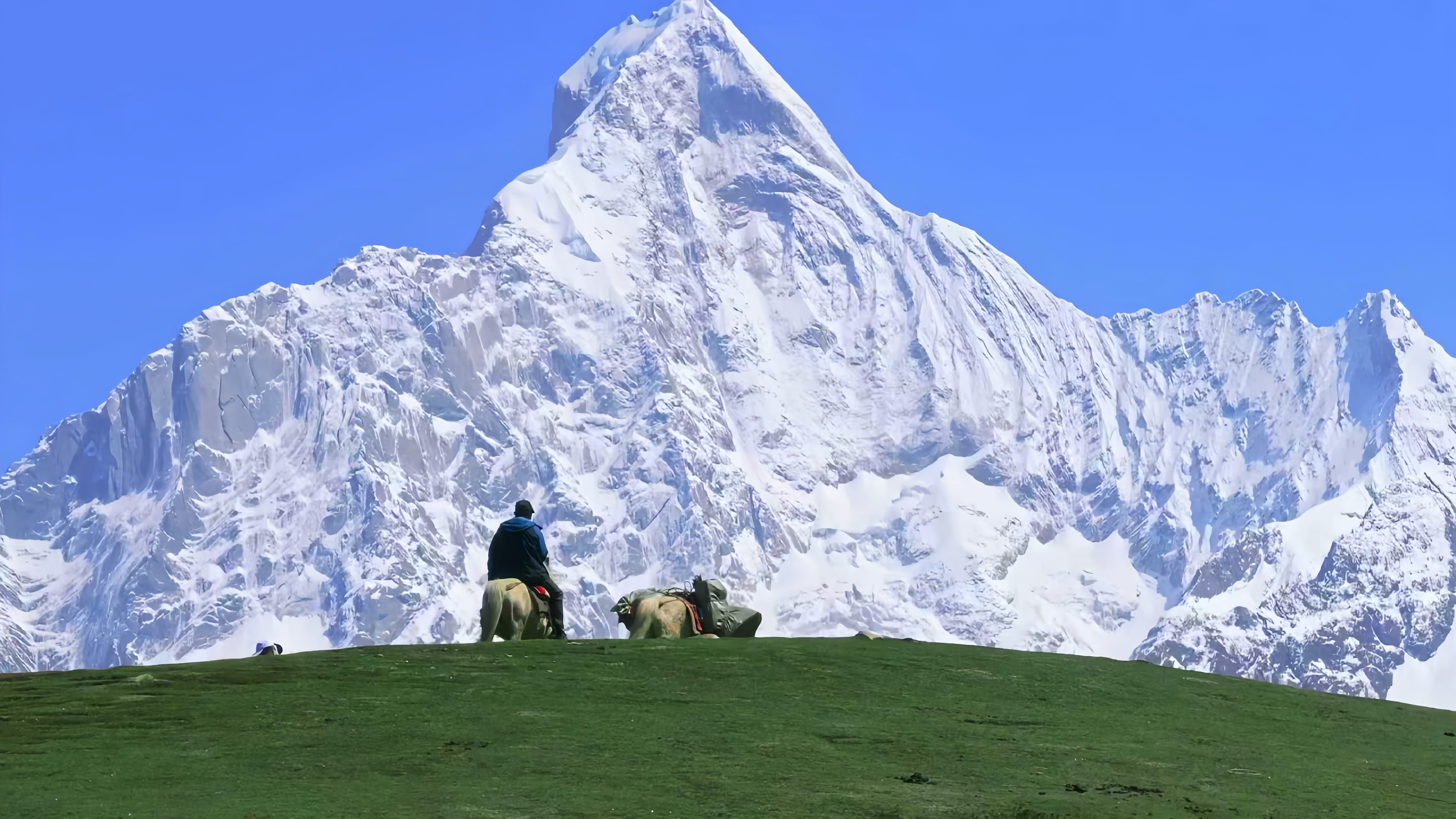 开店这一块，汉庭胆子也太大了