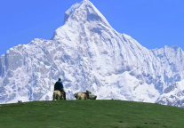开店这一块，汉庭胆子也太大了