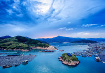 携程旗下Trip.com：港人春节长假倾向亚太区中短程旅游