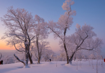 吉林首个“冰雪假期”接待游客量同比增119%