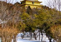 大雪 | 相约东平湖畔，静听一场雪落