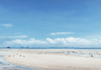 中国国航12月旅客周转量升10%，客座率82.2%