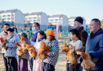 垂钓竞技正酣，肥西六大宝藏打卡地等你来！