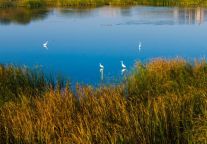  格林豪泰4.0，悦享莱西｜格林豪泰姜山店品质启幕