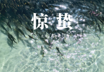 惊蛰｜青海湖开湖序曲，湟鱼率先探春
