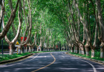 春节期间南京接待游客量2068.2万人次，游客总花费235.1亿元