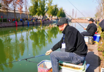 聚焦“顶流”，竿动四方：安徽垂钓超级联赛燃动全城