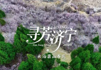 水泊梁山景区杏花开 春日盛景惹人醉