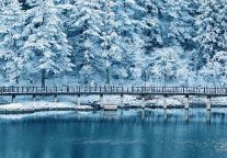 大雪将连下四天！明月山景区“超长待机”雪季来啦！