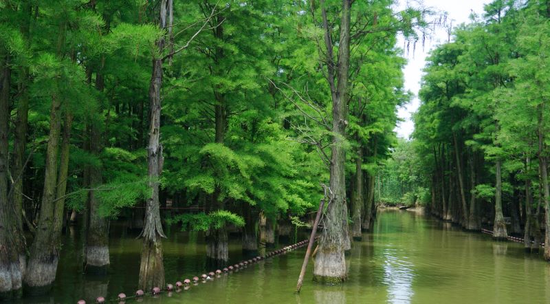 毗邻恐龙园，静享江南夜｜格林豪泰常州新店，让旅程更从容