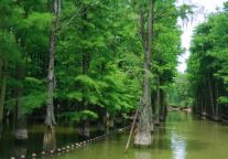 毗邻恐龙园，静享江南夜｜格林豪泰常州新店，让旅程更从容