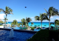 悦柳品牌越南 “首秀”：悦榕集团打造越南北部高原养生度假新地标