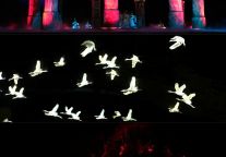 入梦！看完这场演出，才算真正来过龙虎山！