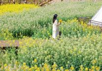 卷疯了武功山春日帐篷特惠！去山顶露营吧～