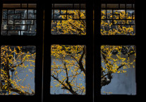 暖家与连接：酒店业的千年回响