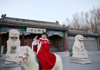 萌马驾到！解锁2026山海关古城年博会新玩法！