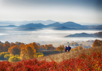 金马游乐：使用向特定对象发行股票闲置募集资金进行现金管理金额合计2700万元