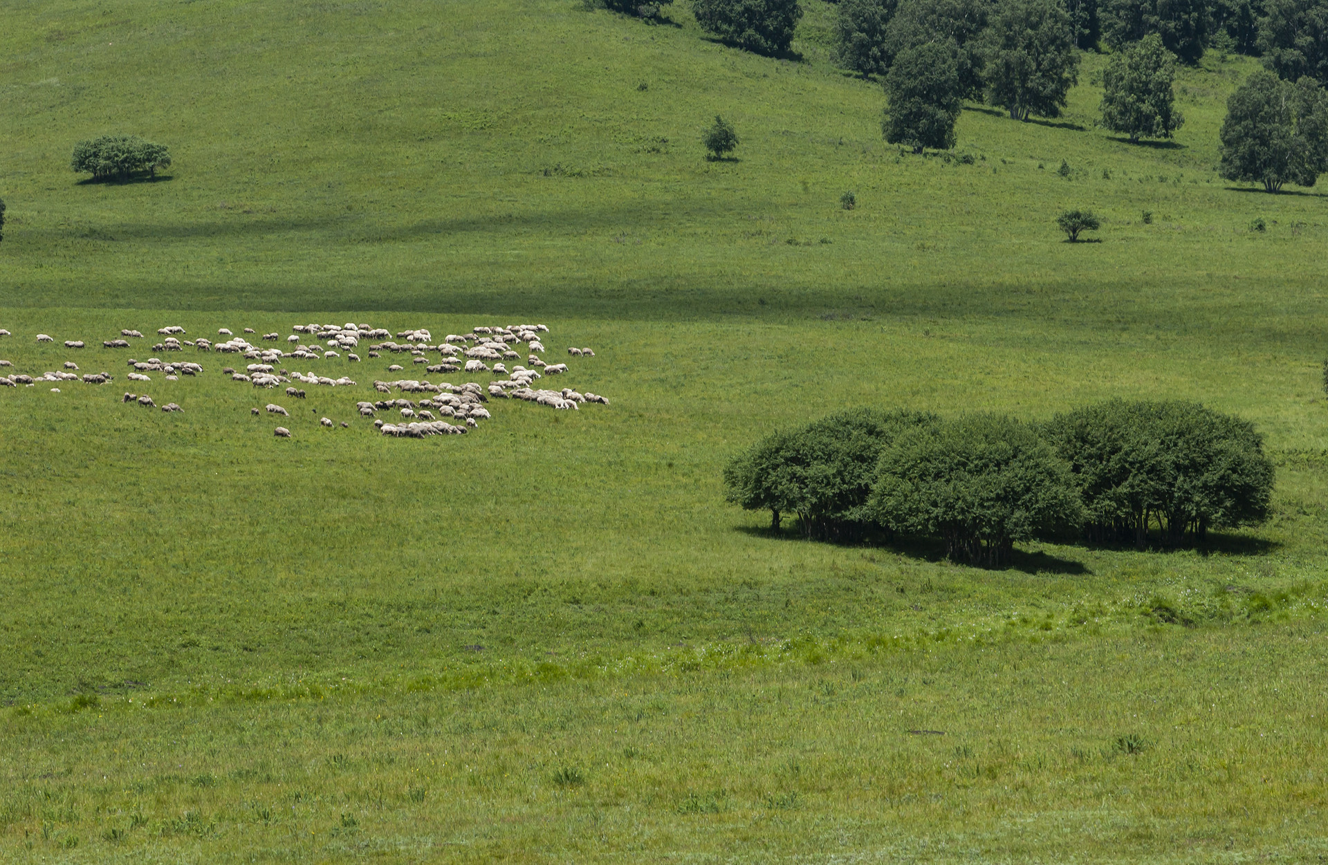 蒙泰集团 2.74 亿竞得呼和浩特万达文华酒店
