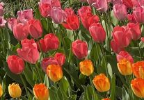 全民盼假潮来袭，文旅要被带飞了