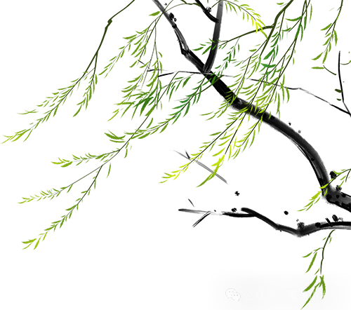 雁山园博5条潮玩线！这个春天等你来~