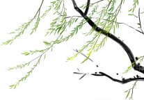 雁山园博5条潮玩线！这个春天等你来~