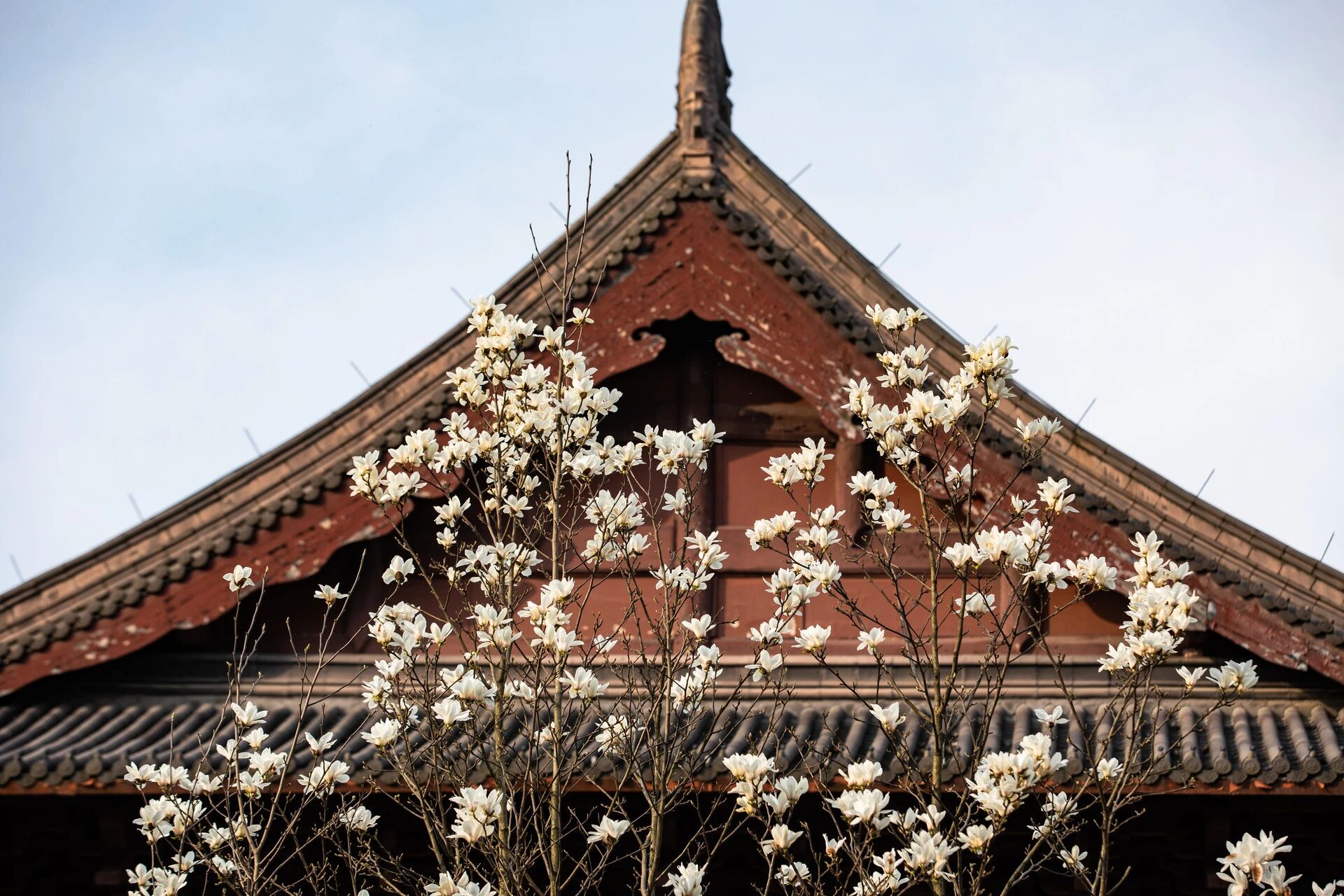 春节后机票酒店集体降价，谁心态崩了