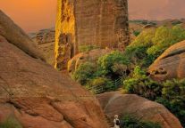 东三省的老铁们看过来！世界自然遗产地龟峰邀您免票畅游丹霞秘境！