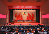 丽橙集团董事长出席宜昌市政协会议，建言酒店业高质量发展与文旅融合新路径