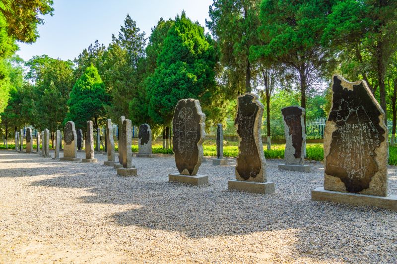 格菲酒店（安阳文峰大道店）：潮范雅居，伴您漫品殷商古韵