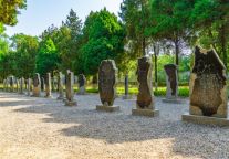 格菲酒店（安阳文峰大道店）：潮范雅居，伴您漫品殷商古韵