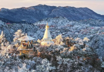 何为“江南小汤圆”？