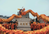 抢鲜看！2026“二月二·老龙头”全国舞龙嘉年华龙队剧透