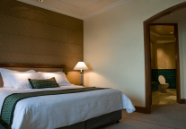 成都高新voco酒店开业