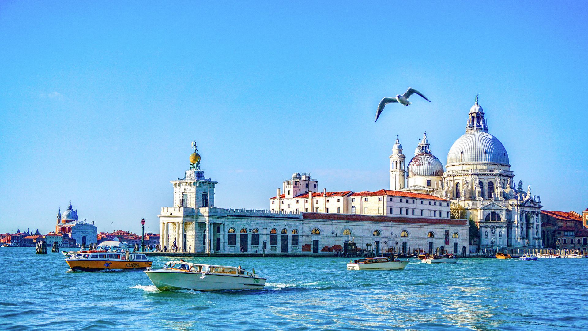 凯撒旅业全资孙公司中标2335万元青岛邮轮港区运营委托管理项目