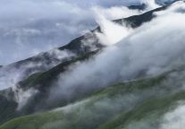 家人们谁懂啊！武功山春日新玩法炸场了！！