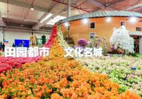 定了！农博会·花博会，将在漳举办