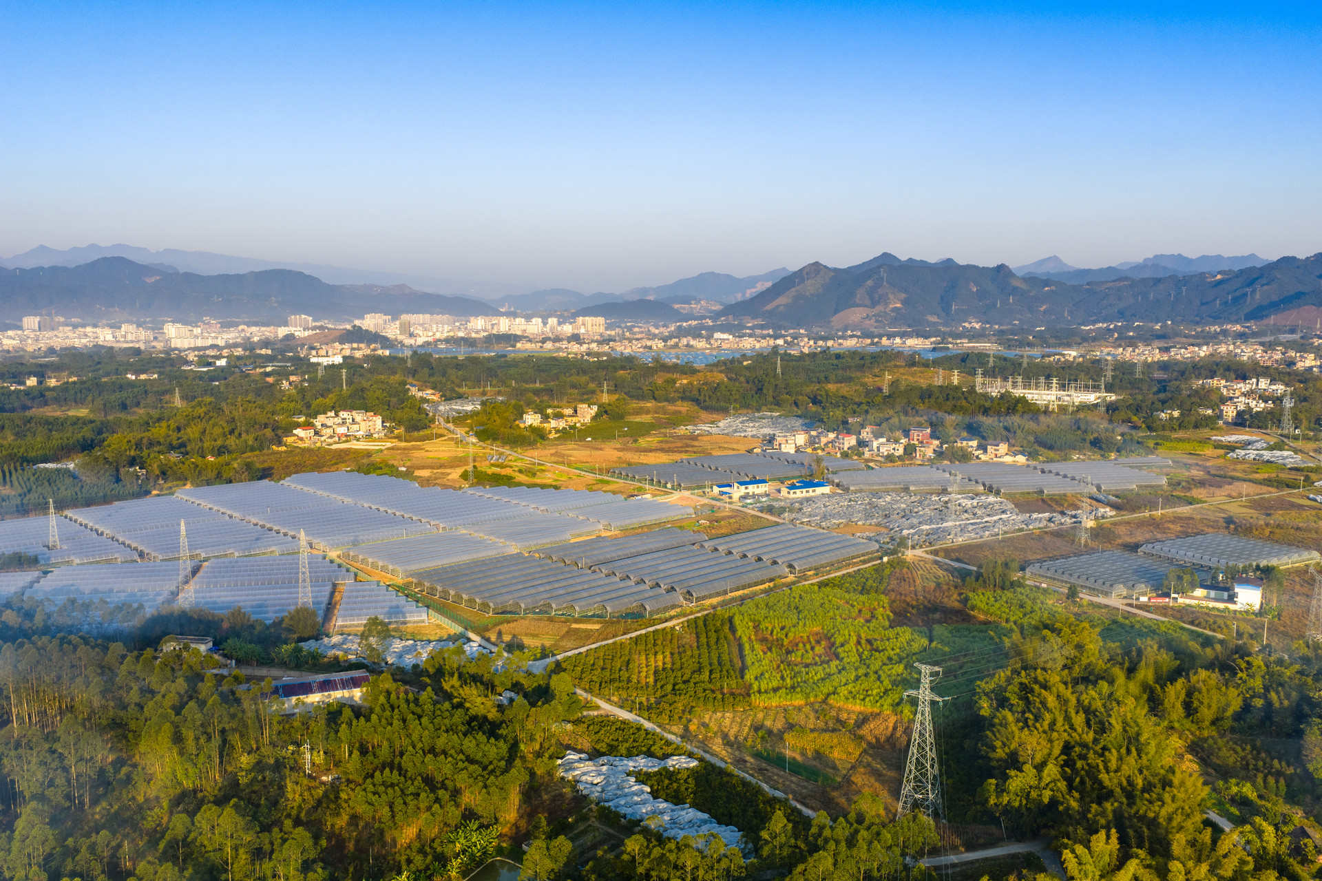 广西友谊关口岸春节迎出入境高峰：单日1.29万人次创新高，跨境游持续火热