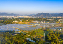 广西友谊关口岸春节迎出入境高峰：单日1.29万人次创新高，跨境游持续火热